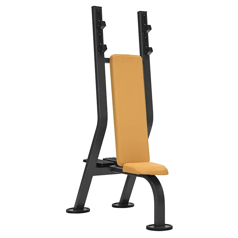 Banc assis développé épaules
