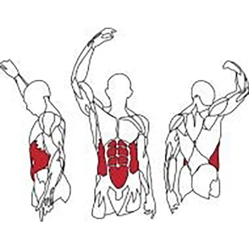 BANC ABDOMINAUX BALANCIER L885BB BH FITNESS – Image 4