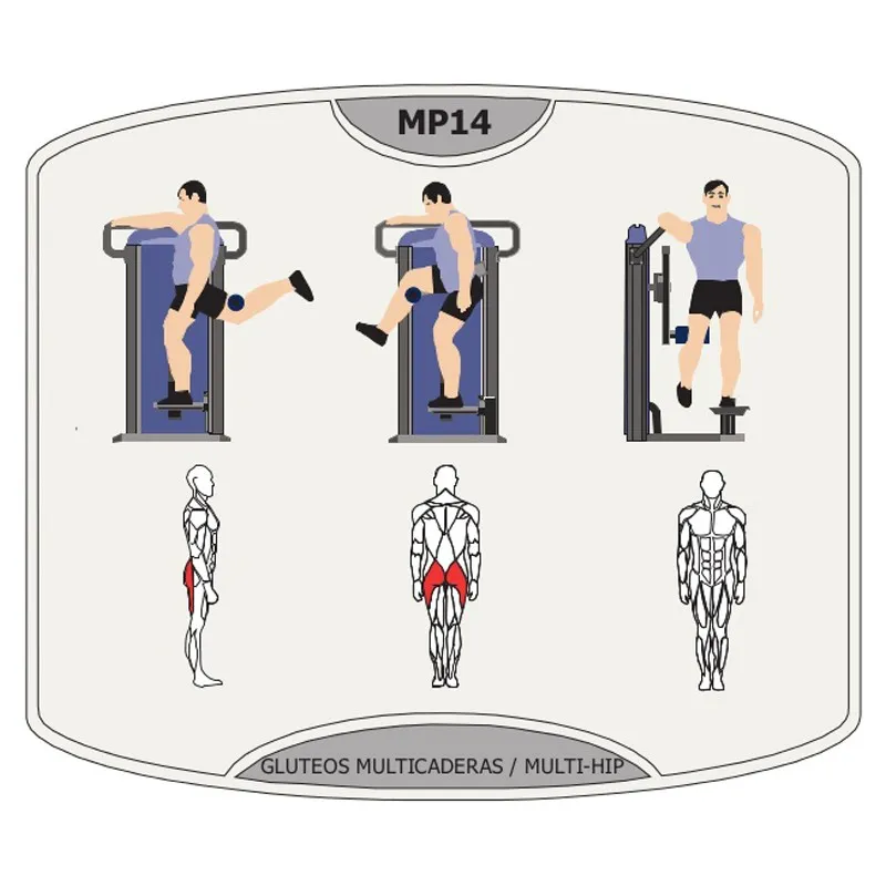 Hip machine gluteus adducteurs abducteurs MITICA 105kg MP14 – Image 3