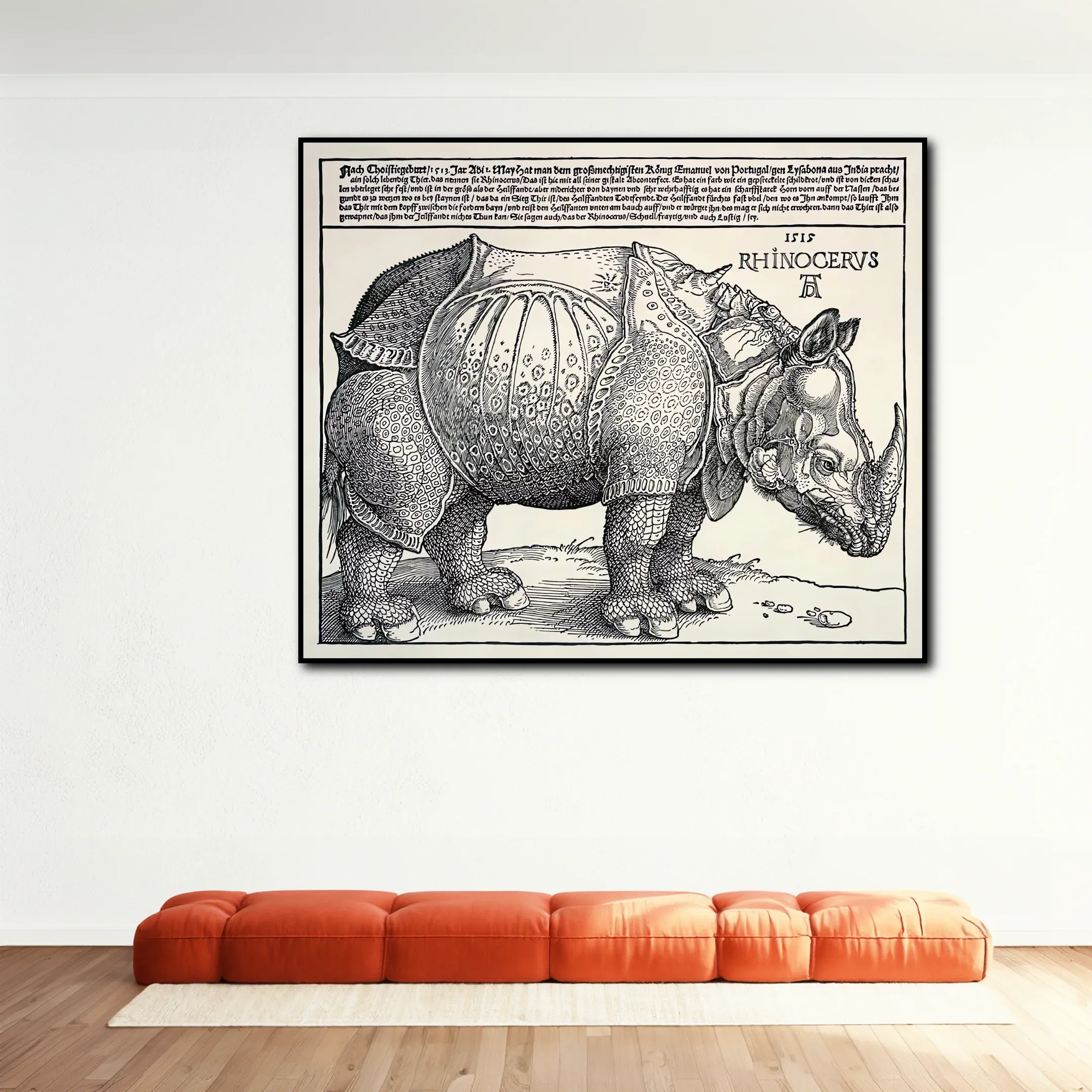 Rhinocéros - Albrecht Dürer – Image 2